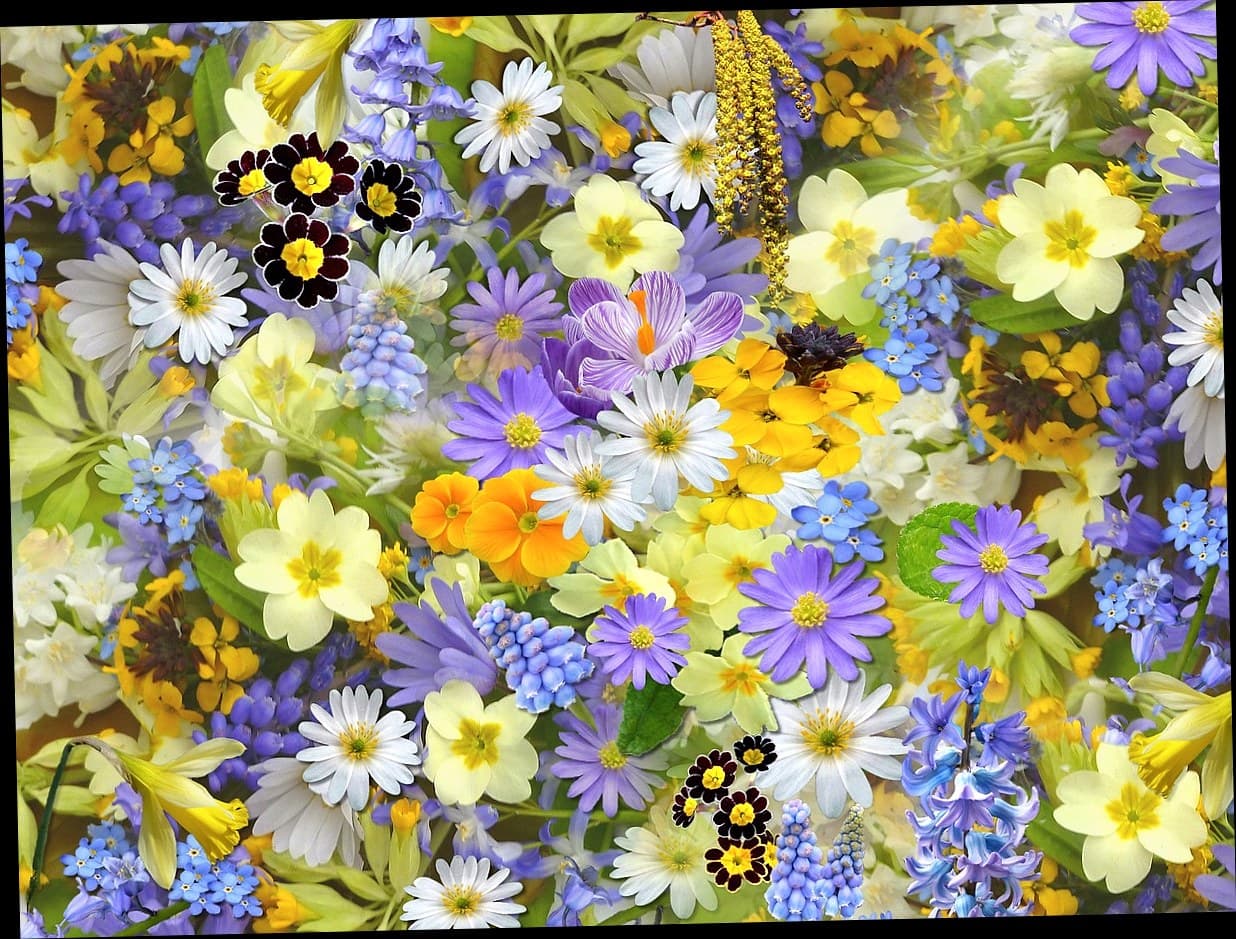 Dokter klinik kecantikan menunjukkan foto before after hasil treatment ke pasien